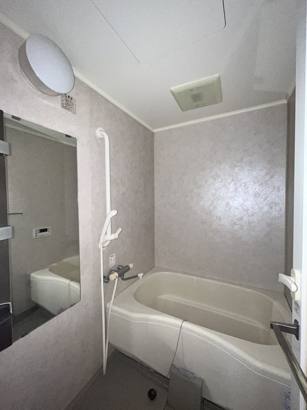 グリシーナ下北沢305の室内7