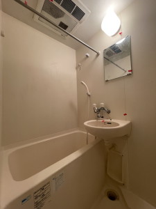 ロアール池尻大橋603の室内5