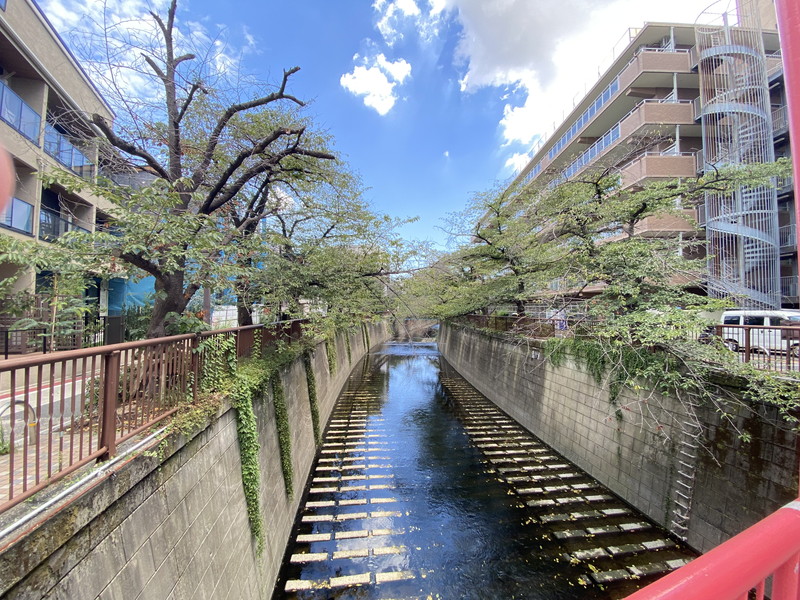 目黒ハイツ517の室内3