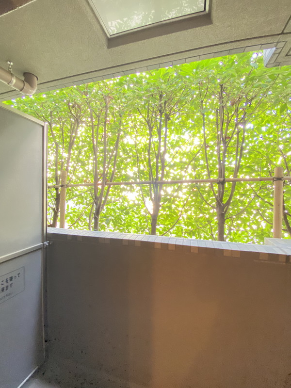 ルーブル三軒茶屋伍番館104の室内9