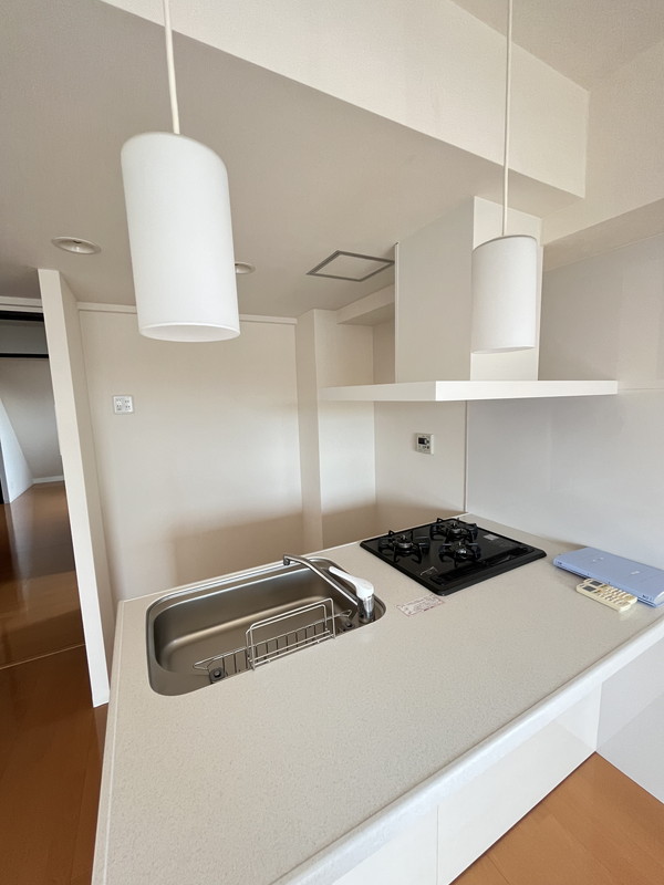 ラフィーヌ自由が丘501の外観