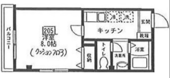 カピートロ205の間取り