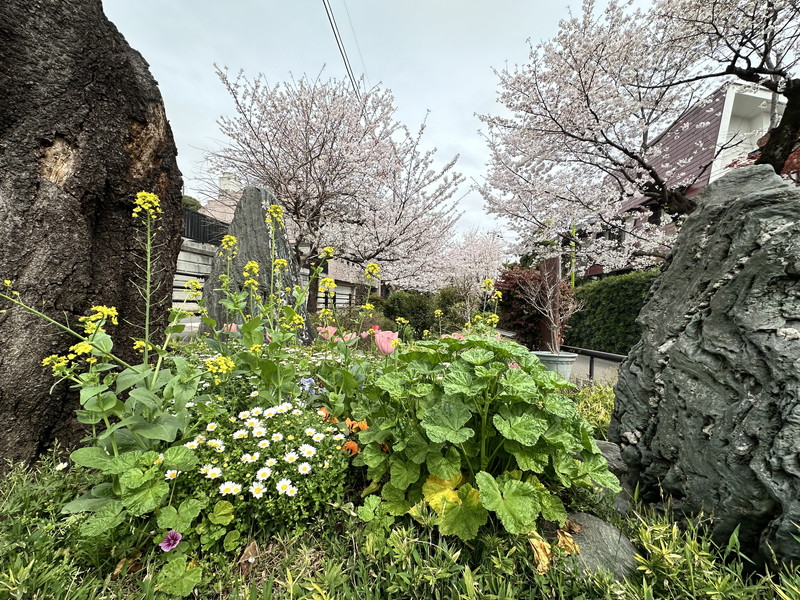 代沢戸建2Fの室内11