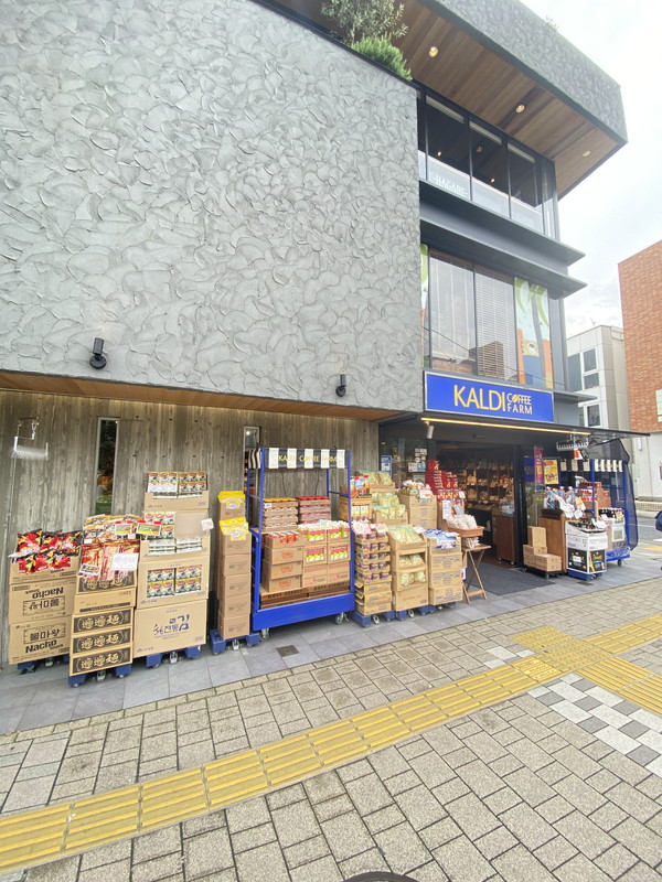 Cerisier（スリジエ）102の室内15