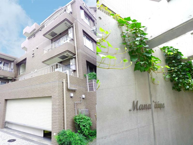 マナアイナ504の室内1