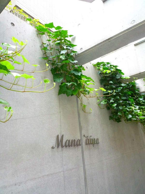 マナアイナ504の室内2