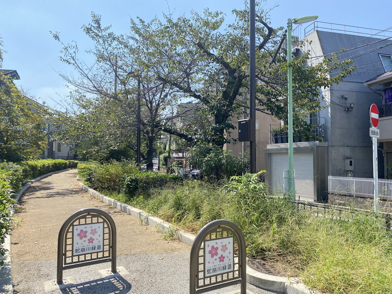 クレイシアIDZ祐天寺Ⅱ(クレイシアアイズ祐天寺Ⅱ)203の室内3