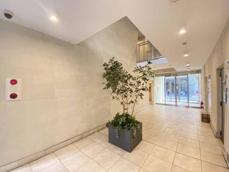 ルフォンプログレ学芸大学204の室内1