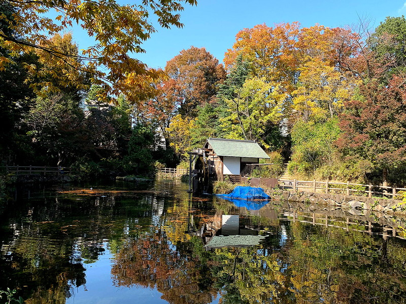 パークホームズ渋谷松濤505の室内14