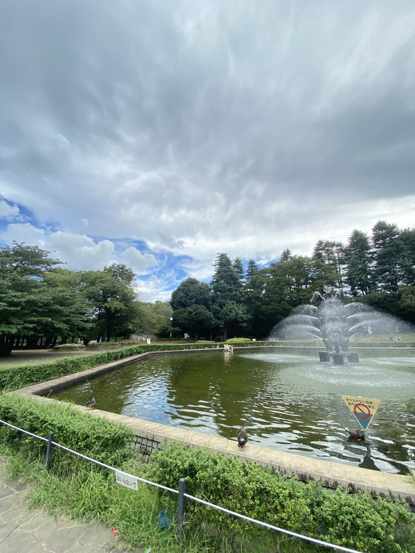 サークルハウス三宿壱番館202の室内10