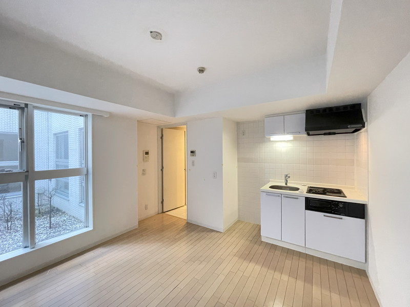 ミリアレジデンス桜新町102の室内6