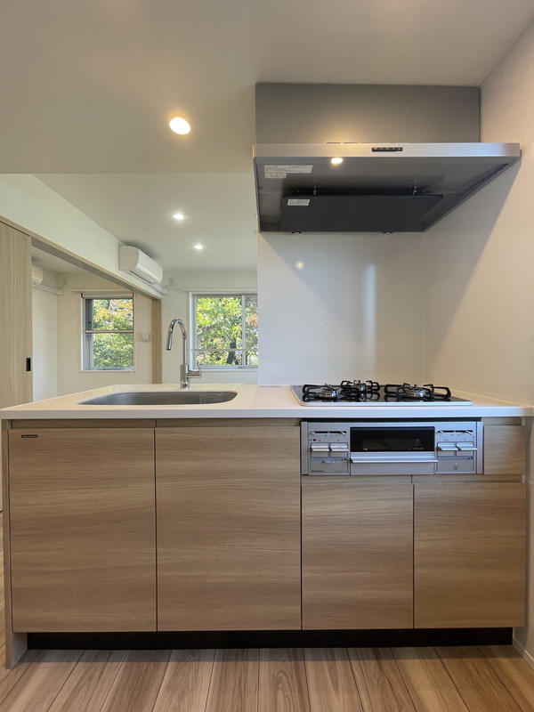 GranDuo柿の木坂2305の室内5