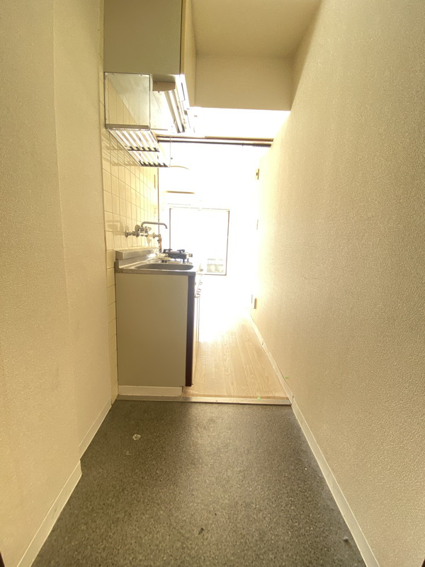 メゾン・ド・カナリ316の室内15