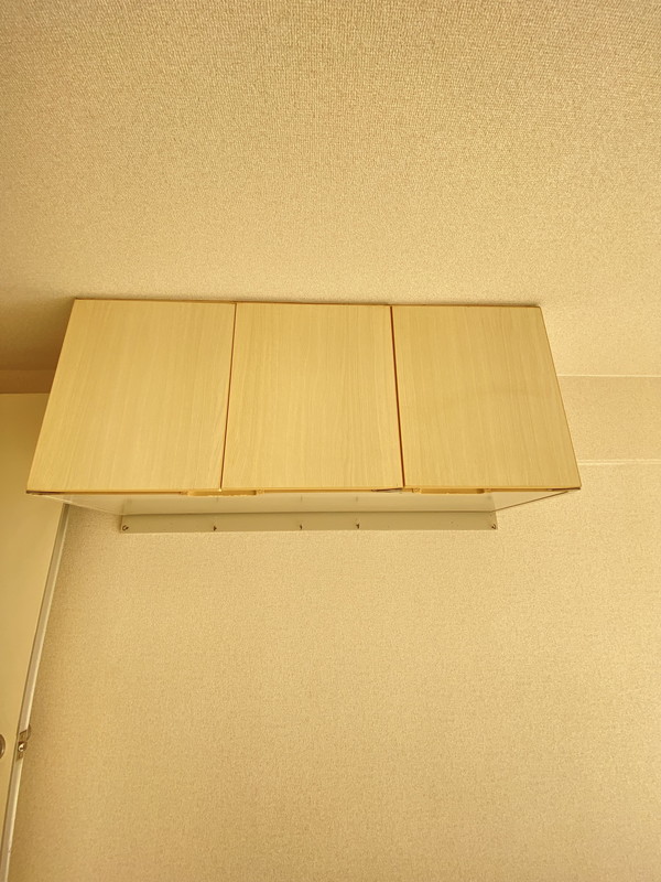 メゾン・ド・カナリ316の室内9