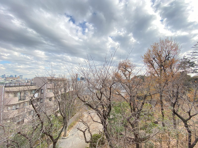 HF若林公園レジデンス403の室内13