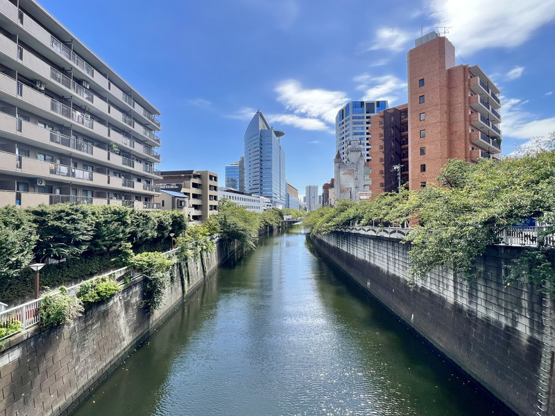LUMIEC MEGURO（ルミークメグロ）201の室内2