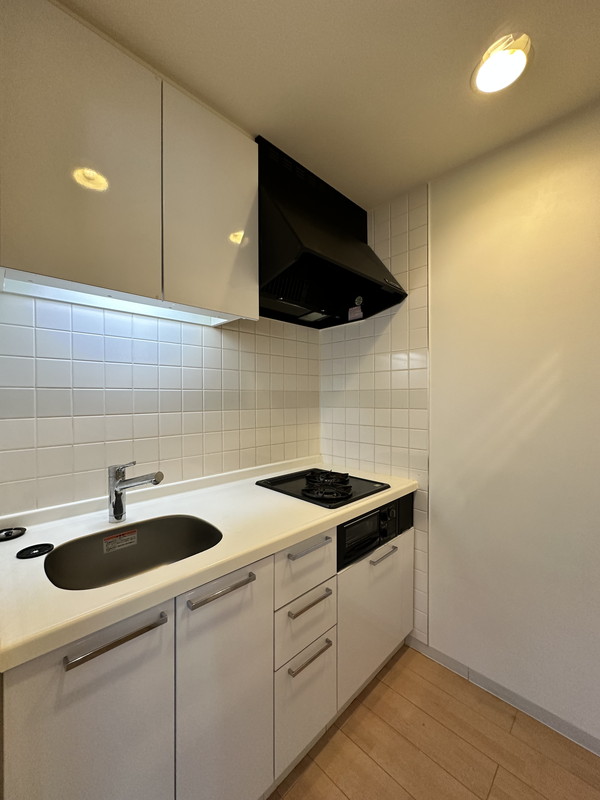 ミリアレジデンス桜新町501の室内10