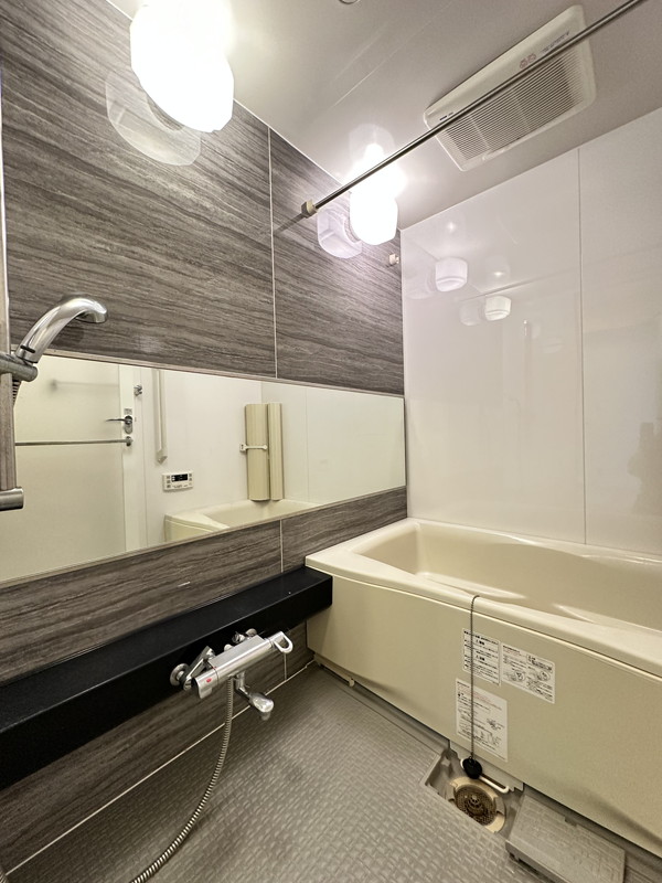 ミリアレジデンス桜新町501の室内8