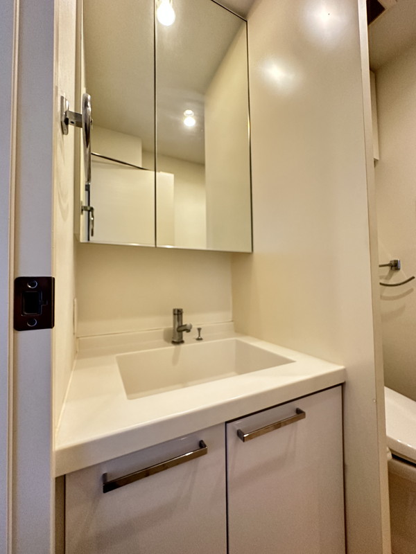 ミリアレジデンス桜新町501の室内6