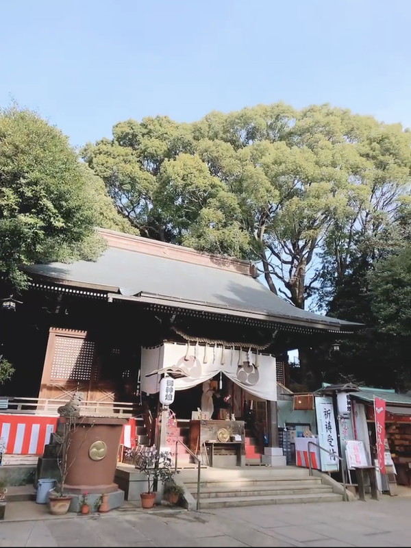 ル・リオン三軒茶屋Ⅱ606の室内18