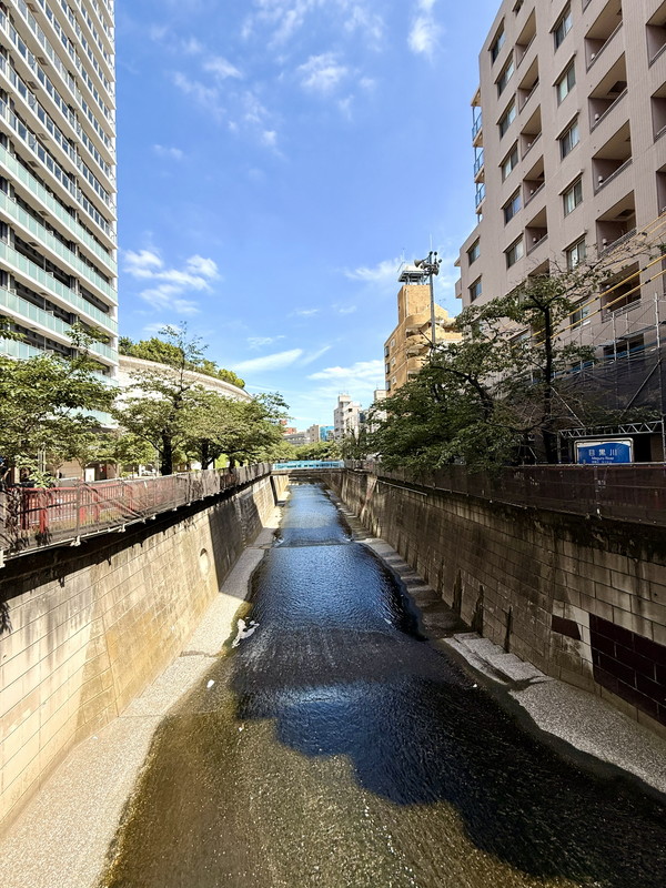 大橋フォートレス501の室内10