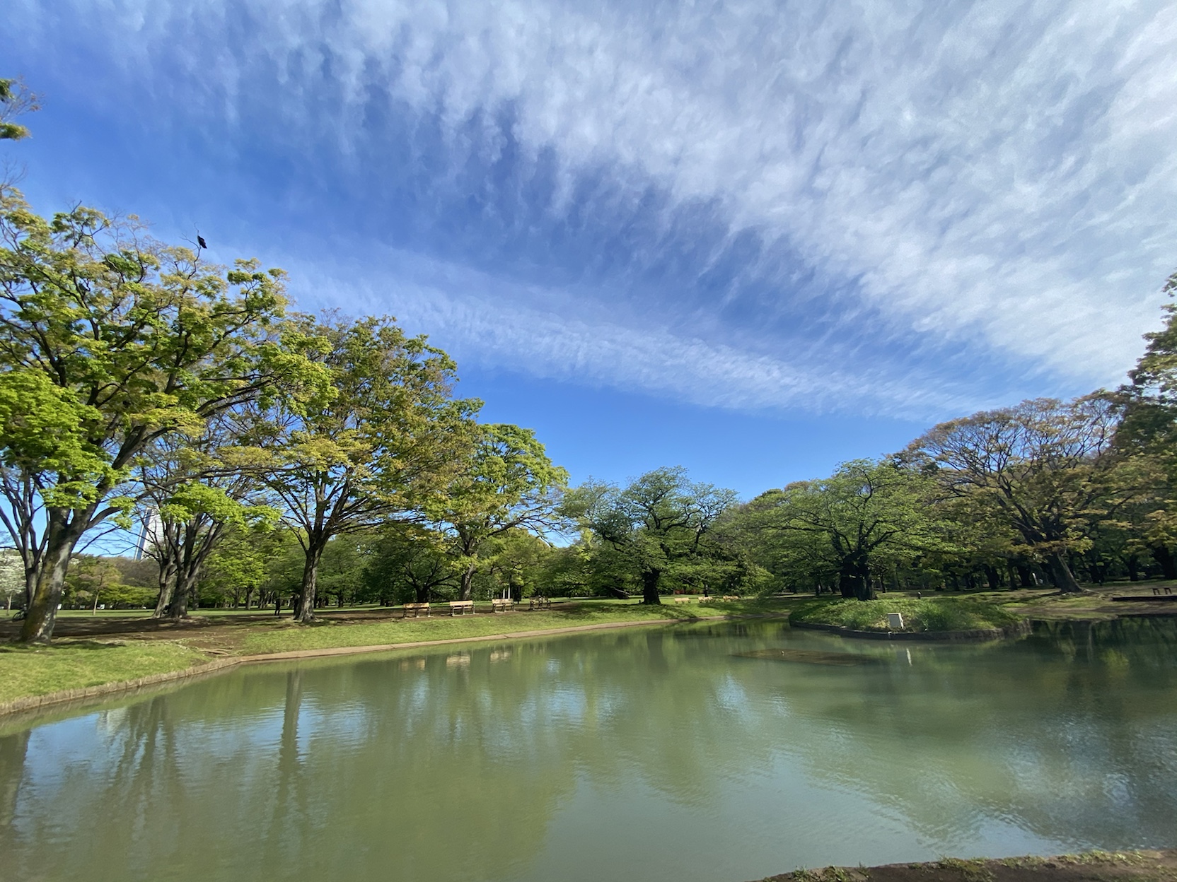 アトラス渋谷公園通り1102の室内6