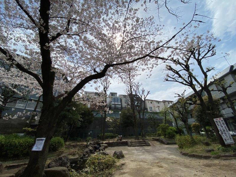 アーバンプレミア池尻大橋302の室内16