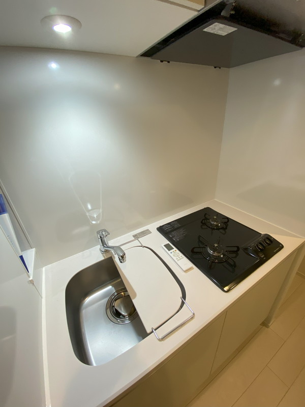 ルネサンスコート桜新町404の室内8