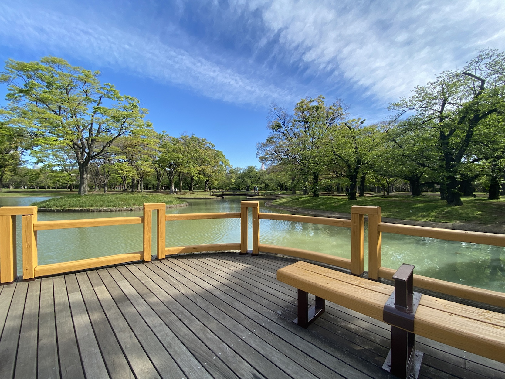 イプセ代々木上原Residence201の室内6