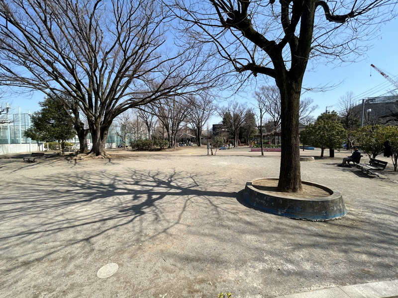 イプセ代々木上原Residence201の室内15