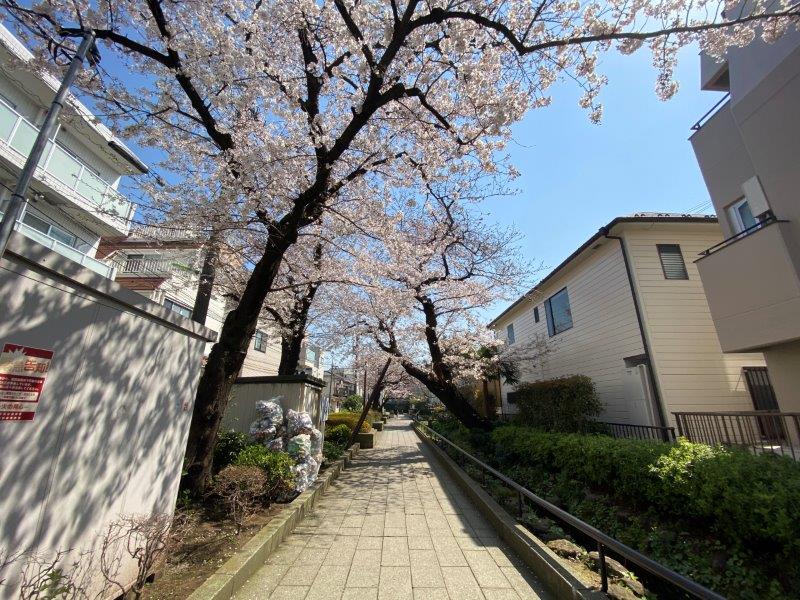 クロスレジデンス三宿415の室内14