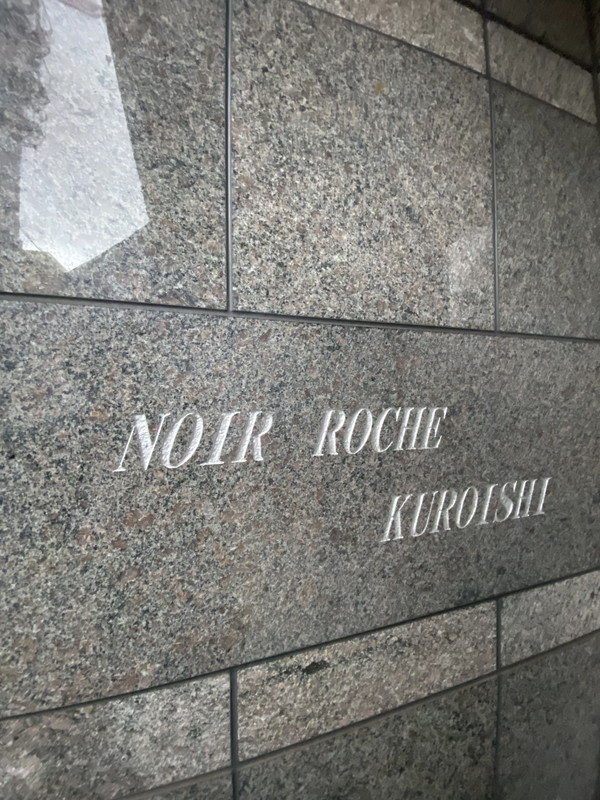 NOIR ROCHE（ノワールロッシュ）301の室内3