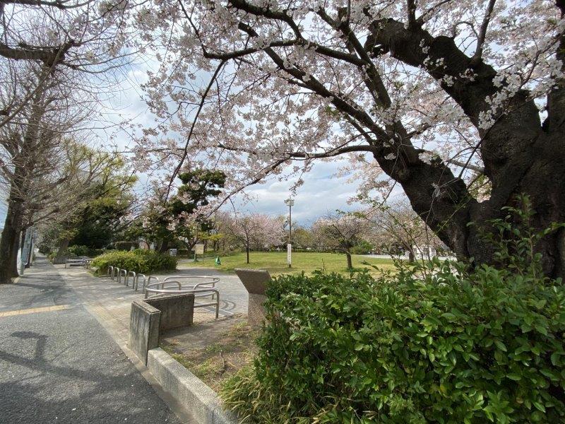 シティビル池尻大橋501の室内17