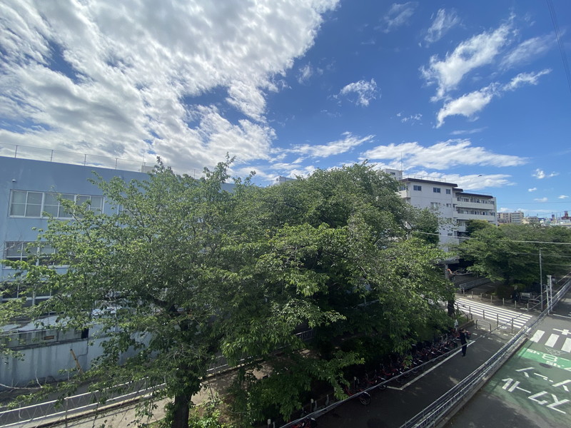 テラス都立大学301の室内15