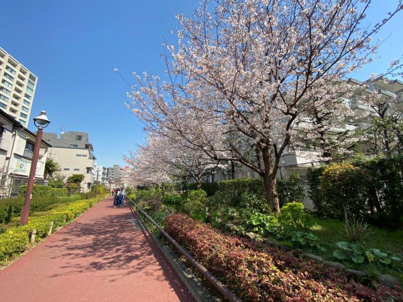 コンフォリア駒場0113の室内13