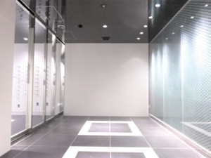 GENOVIA三軒茶屋 green veil(ジェノヴィア三軒茶屋グリーンヴェール)106の室内2