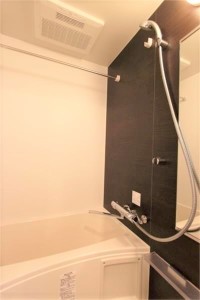 GENOVIA三軒茶屋 green veil(ジェノヴィア三軒茶屋グリーンヴェール)106の室内6