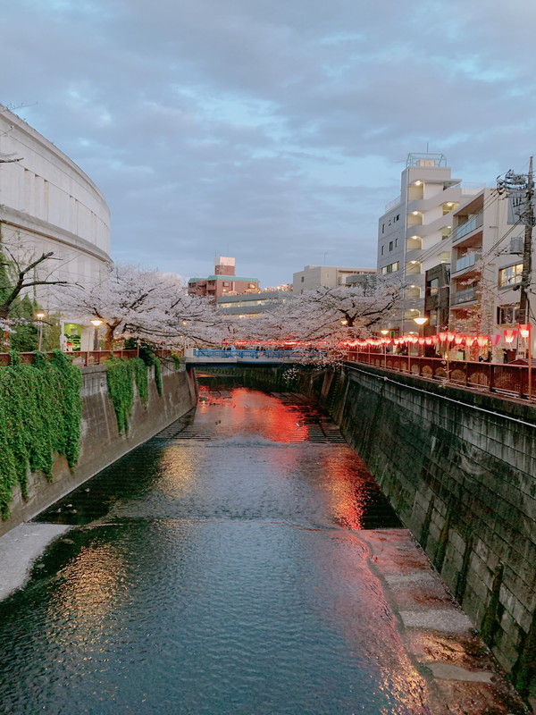 サンサーラ東山505の室内24