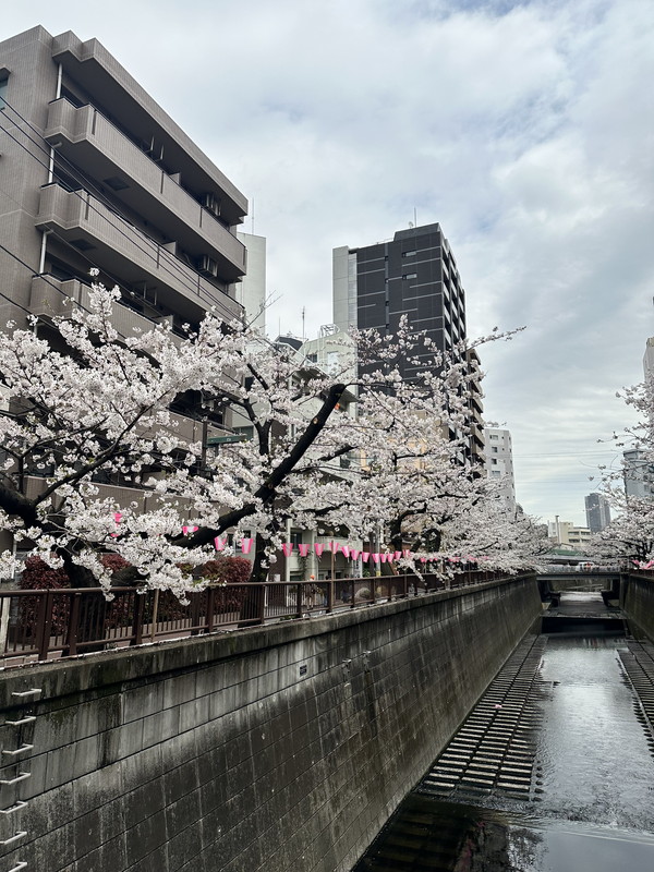 サンサーラ東山505の室内25