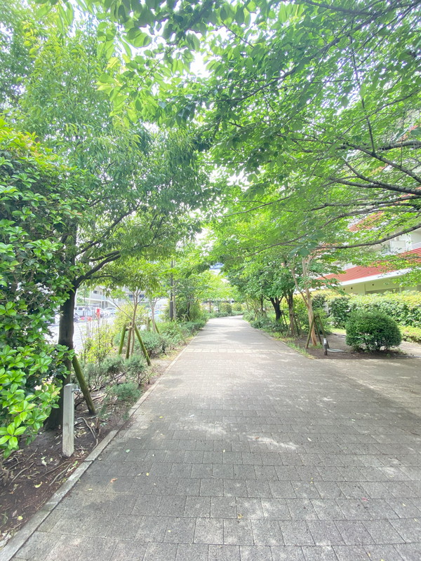 Brillia ist 三軒茶屋 アイビーテラス404の室内3