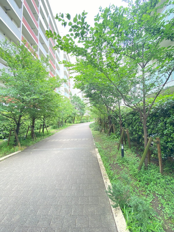 Brillia ist 三軒茶屋 アイビーテラス404の室内4