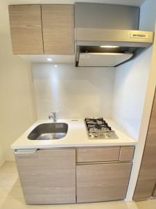 ディアレイシャス三軒茶屋307の室内7