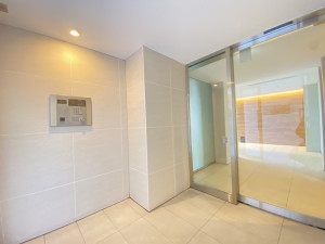 ディアレイシャス三軒茶屋307の室内3