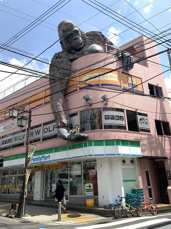 ディアレイシャス三軒茶屋307の室内18