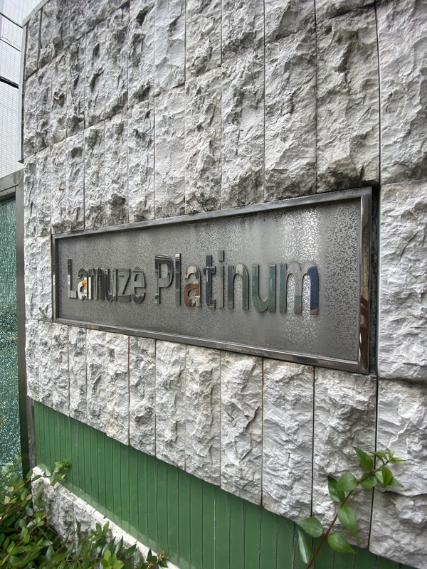 Lamuse Platinum（ラミューズ プラチナ）202の室内16