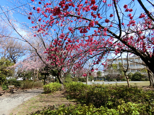 東山戸建ての室内16