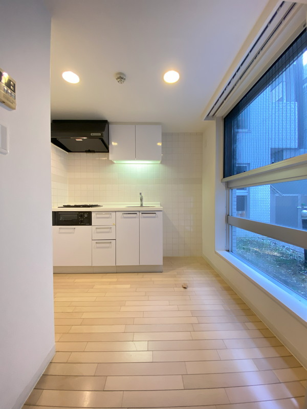 ミリアレジデンス桜新町105の室内11