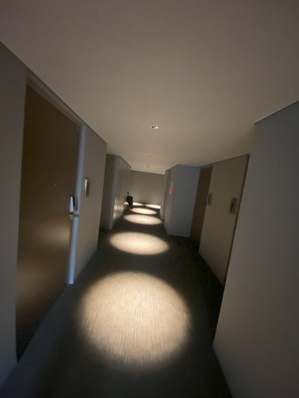 JP noie 駒沢大学404の室内16