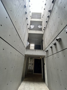 ZESTY学芸大学(ゼスティ学芸大学)205の室内10