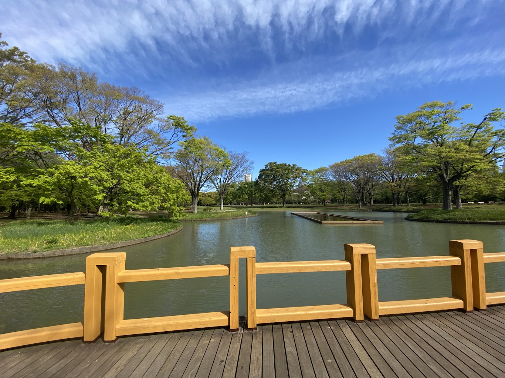 ル・トラン代々木公園203の室内17